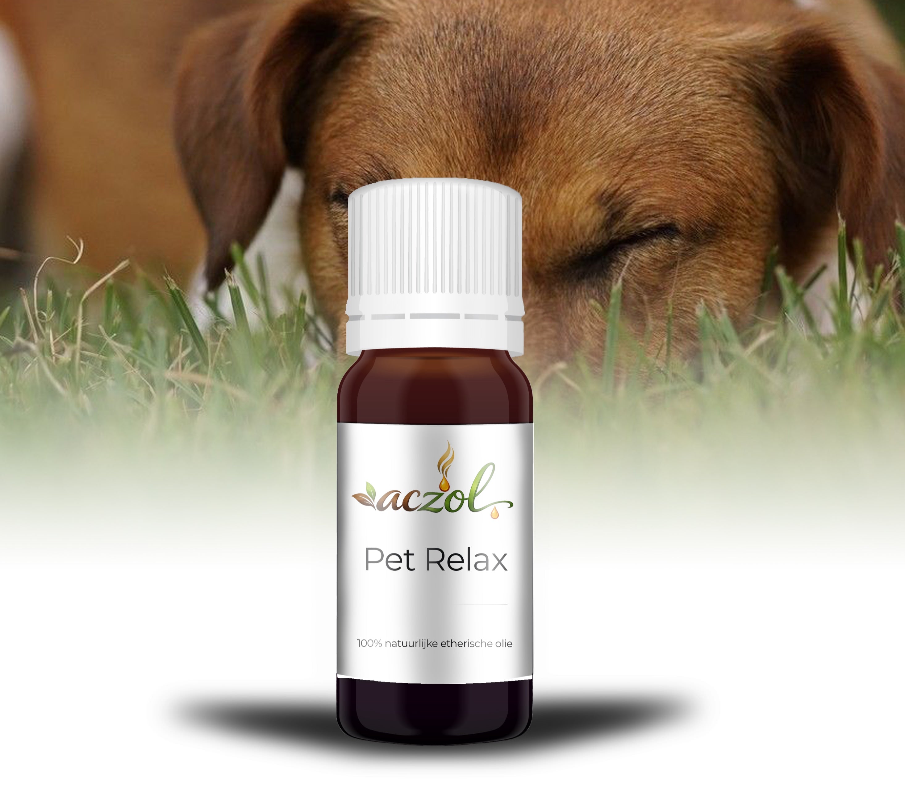 Pet Relax (Dog) ~ Olie