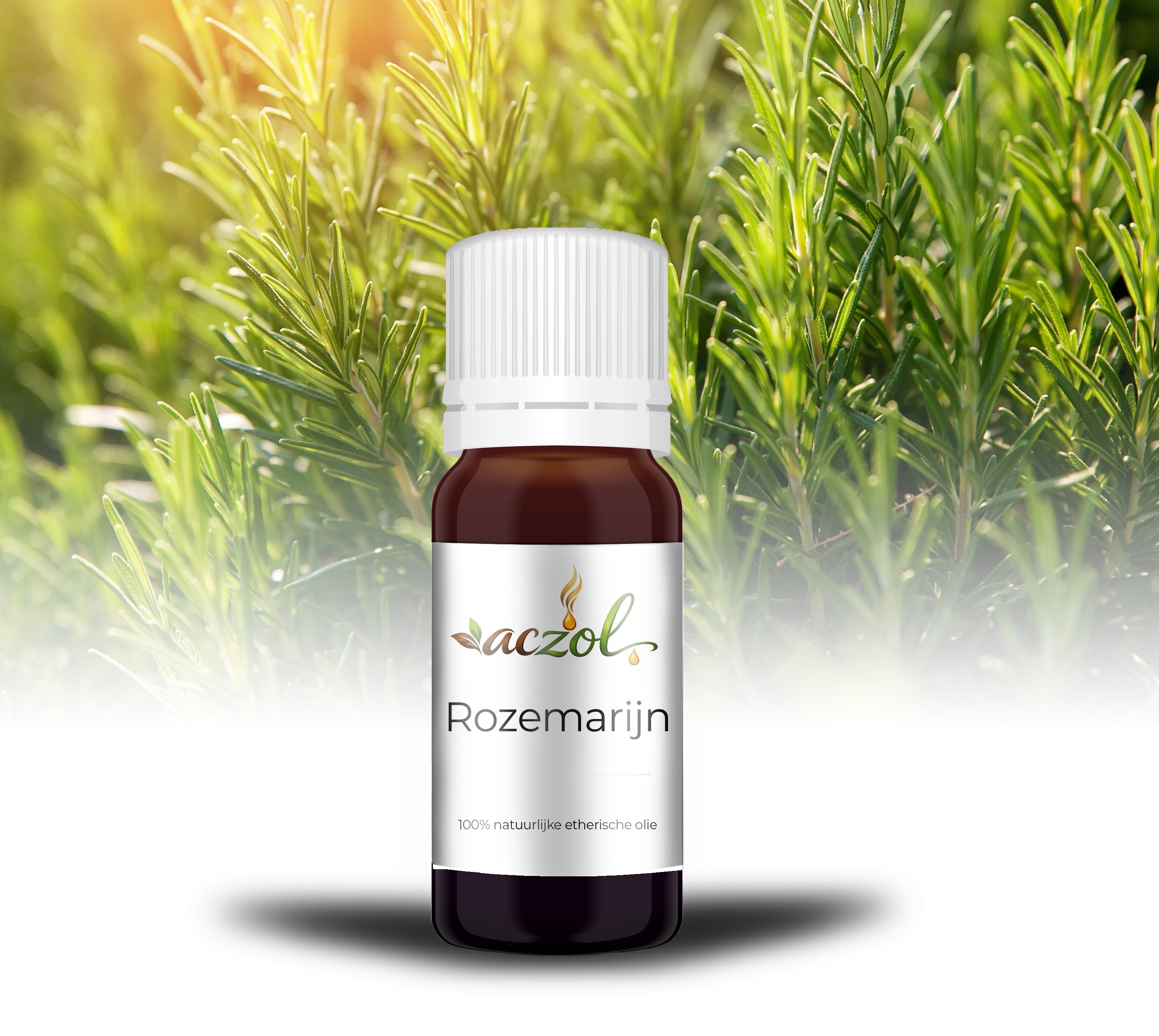 Rozemarijn ~ Olie